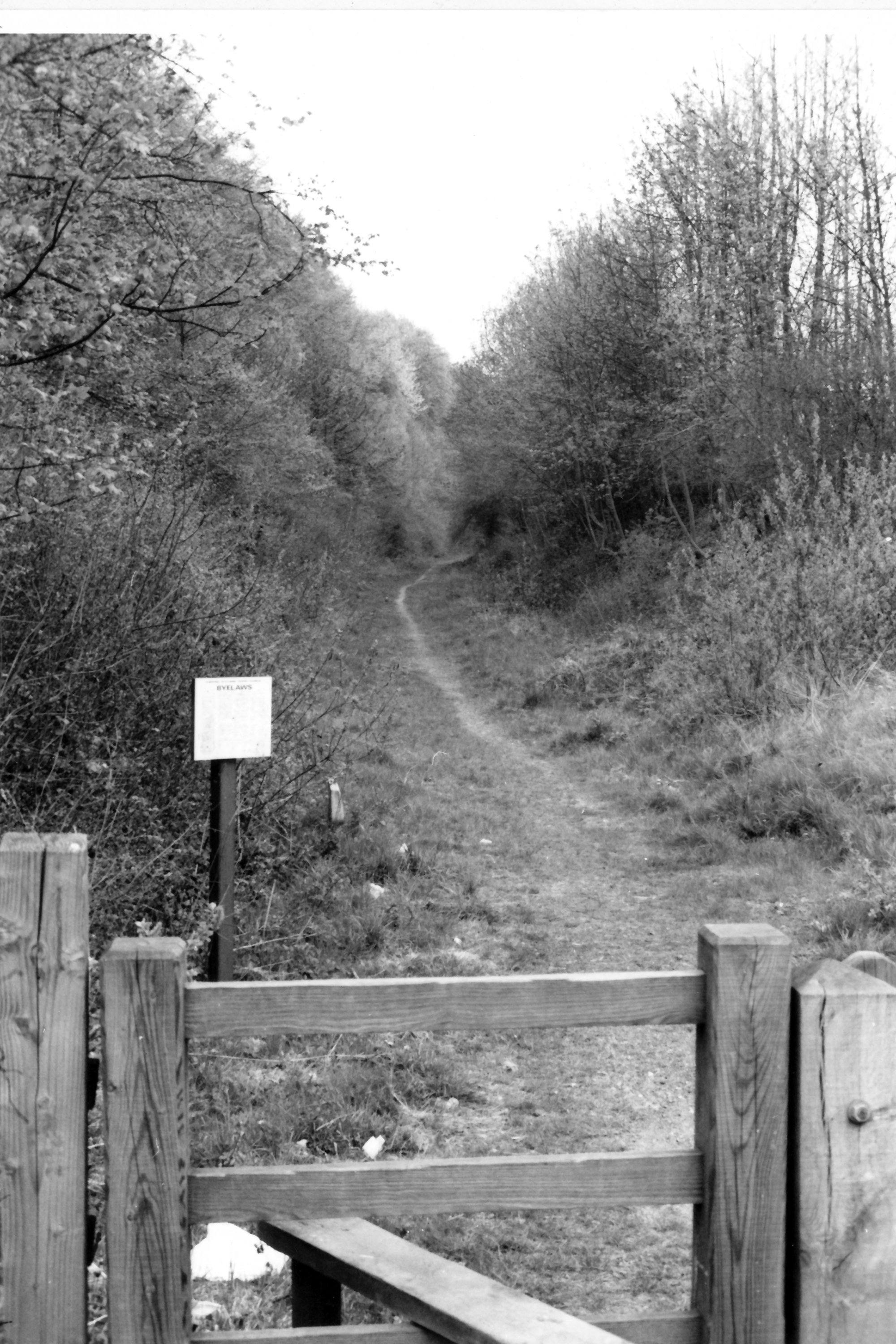 the level crossing site at Loudwater